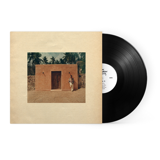 Ady Suleiman - Chasing (Black Vinyl)