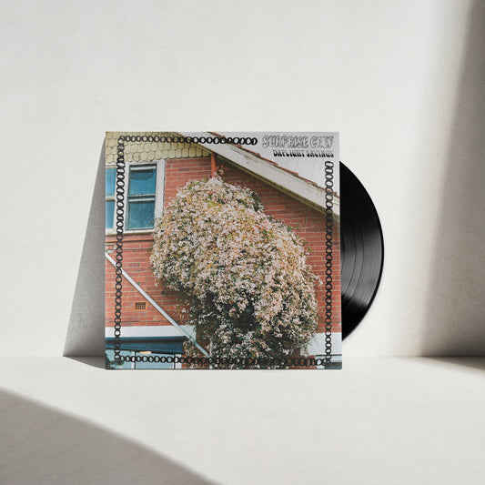 Surprise Chef - Daylight Savings