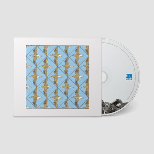 Various Artists - Simmerdim: Curlew Sounds