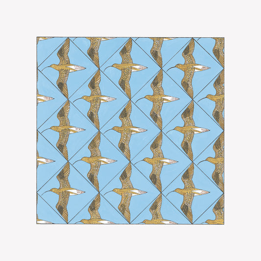 Various Artists - Simmerdim: Curlew Sounds