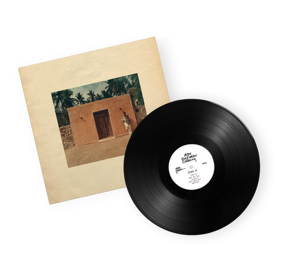 Ady Suleiman - Chasing (Black Vinyl)