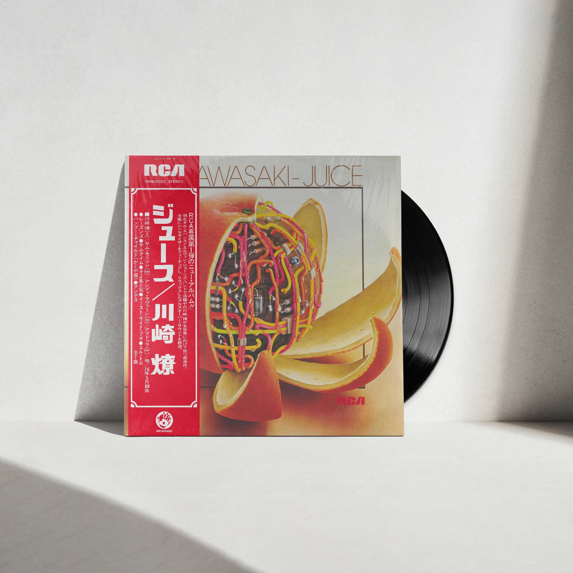 Ryo Kawasaki - Juice