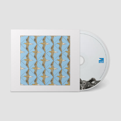 Various Artists - Simmerdim: Curlew Sounds
